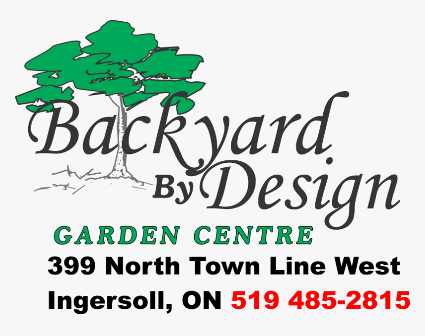 Backyard By Design Garden Centre Japanese Maples - Calligraphy, HD Png Download