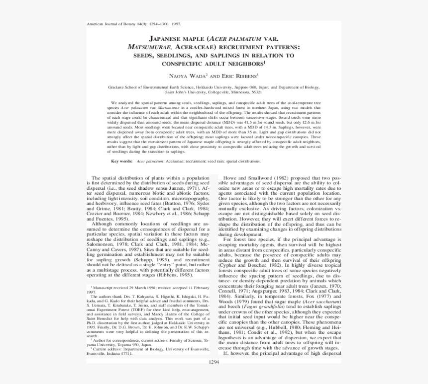 Document, HD Png Download