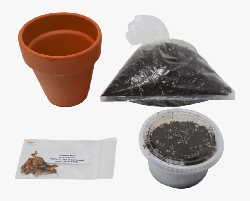 Bonsai Tree Garden Diy Grow Kit With Japanese Maple - Flowerpot, HD Png Download