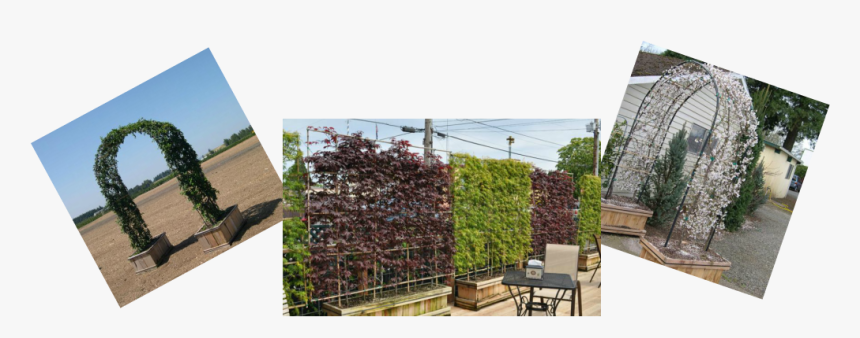 Wall, HD Png Download