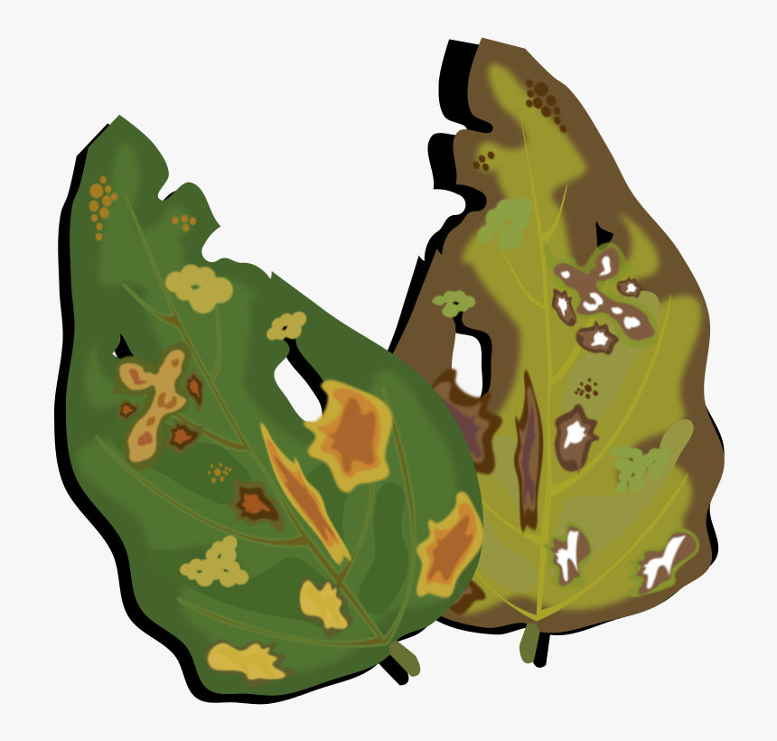 Plant,leaf,military Camouflage - Plant Disease Clipart, HD Png Download
