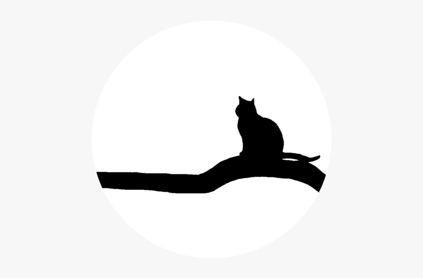 Silhouette,felidae,cat - Cat Yawns, HD Png Download