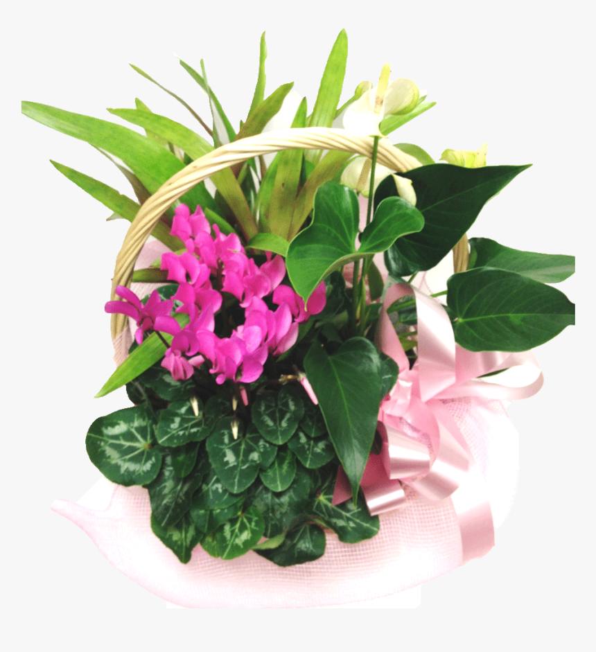 Basket Of Plants - Bouquet, HD Png Download