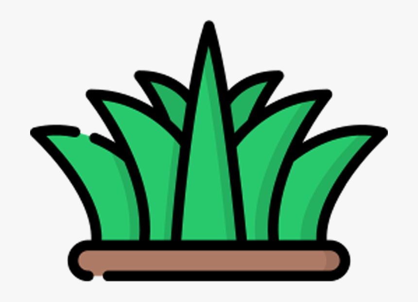 Transparent Dry Grass Png, Png Download