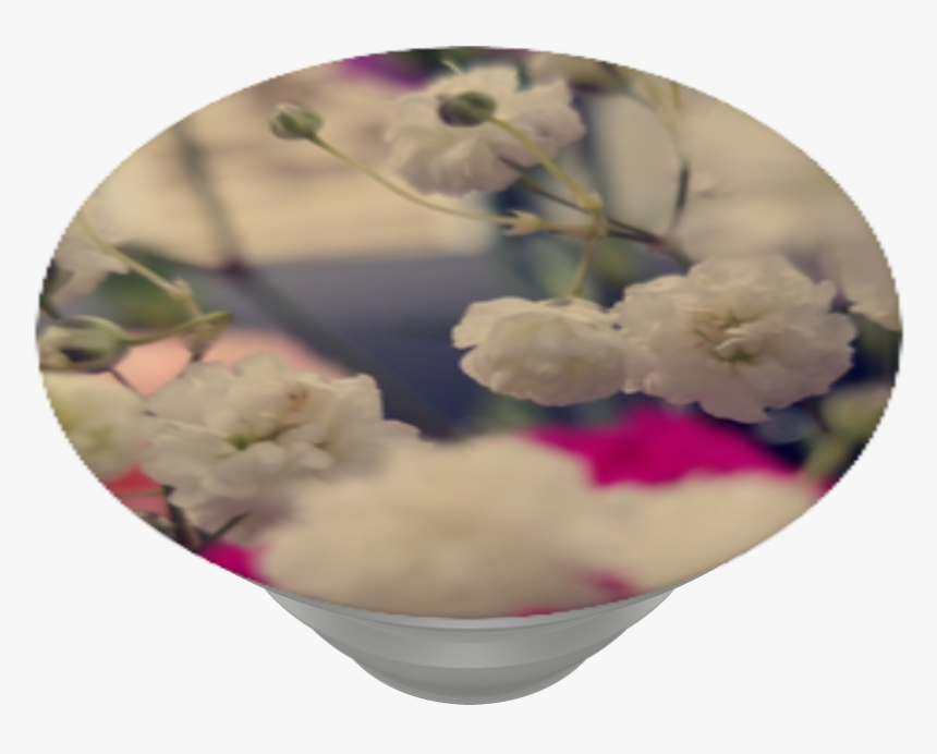 In A Field Of Flowers, - Cherry Blossom, HD Png Download