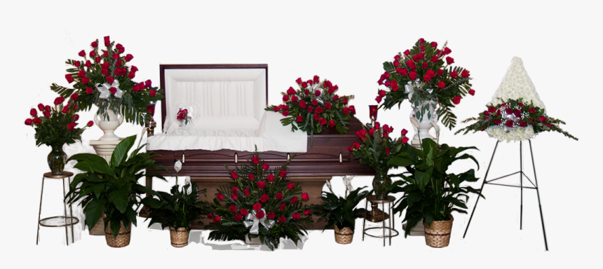 Click To Enlarge - Bougainvillea, HD Png Download