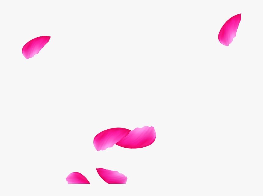 Tulip, HD Png Download