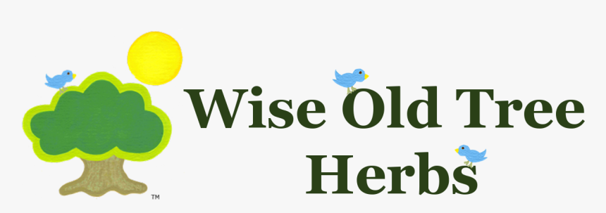 Westminster New Zen Cart Template By Www - Tennis, HD Png Download