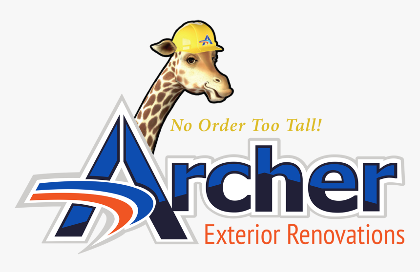Giraffe, HD Png Download