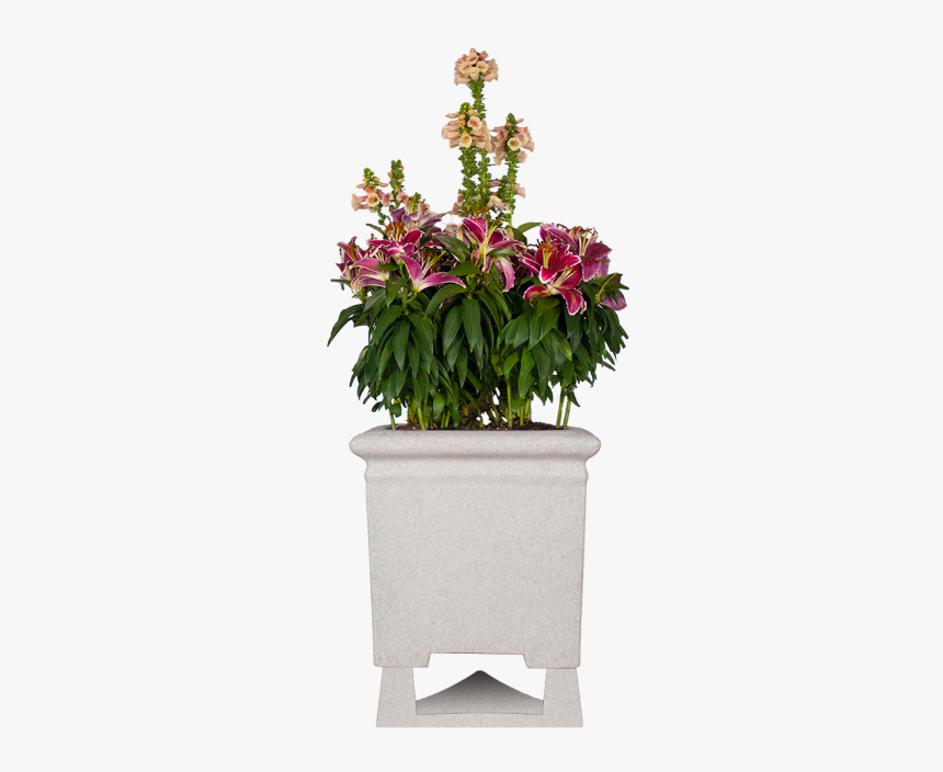 Hawaiian Hibiscus, HD Png Download