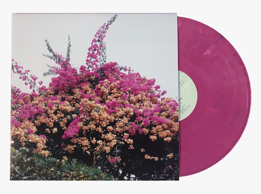 Jay Som Turn Into, HD Png Download