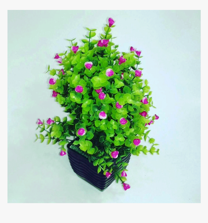 Thumb - Bougainvillea, HD Png Download