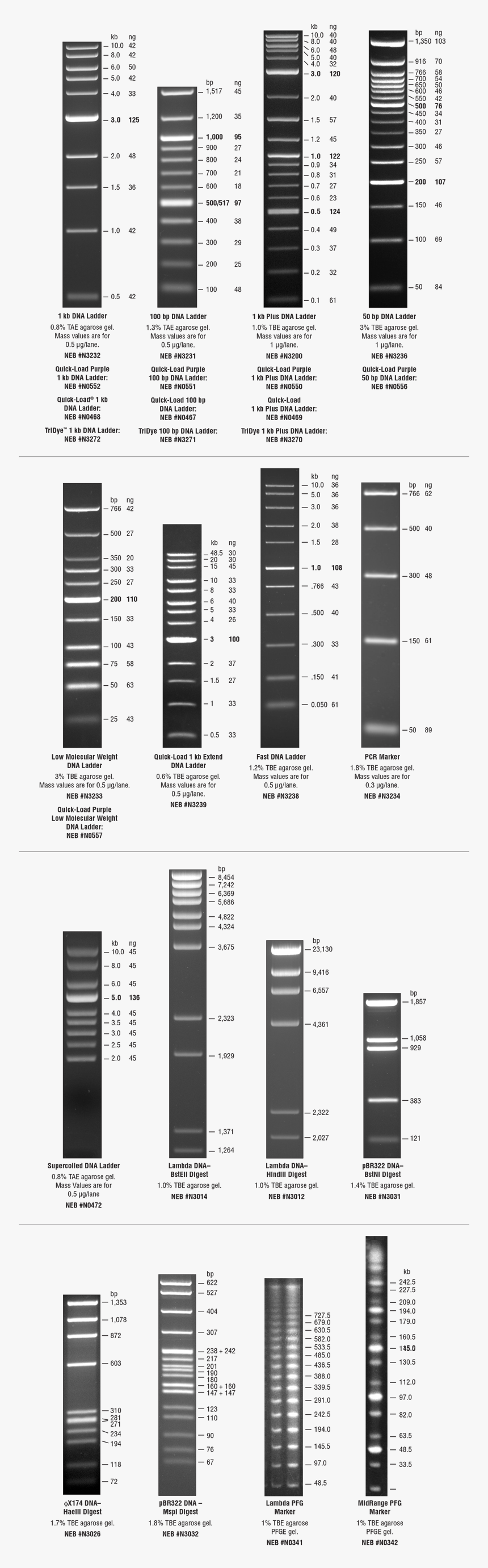 Dna, HD Png Download