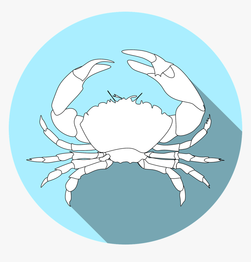 Crabs, HD Png Download
