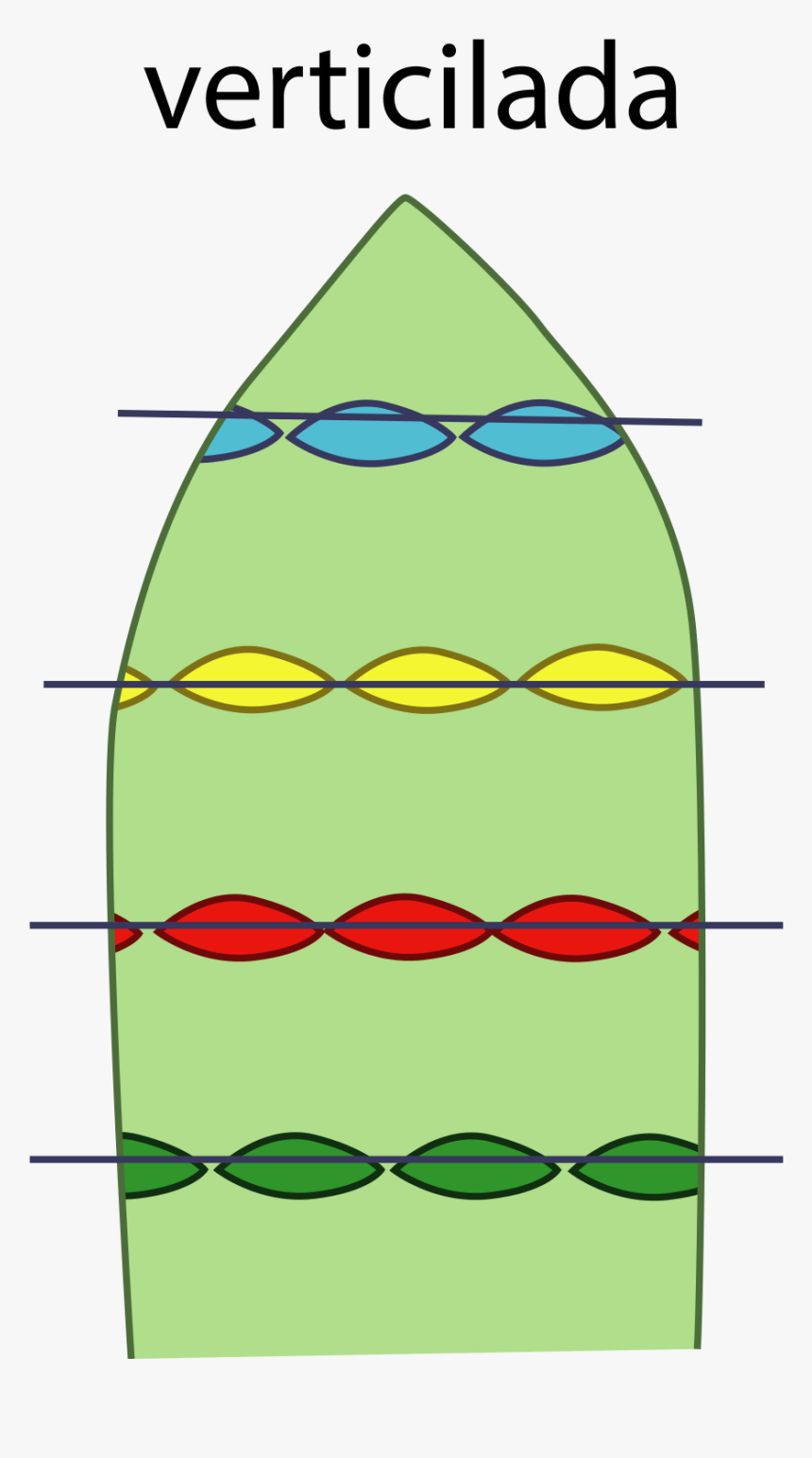 Art, HD Png Download