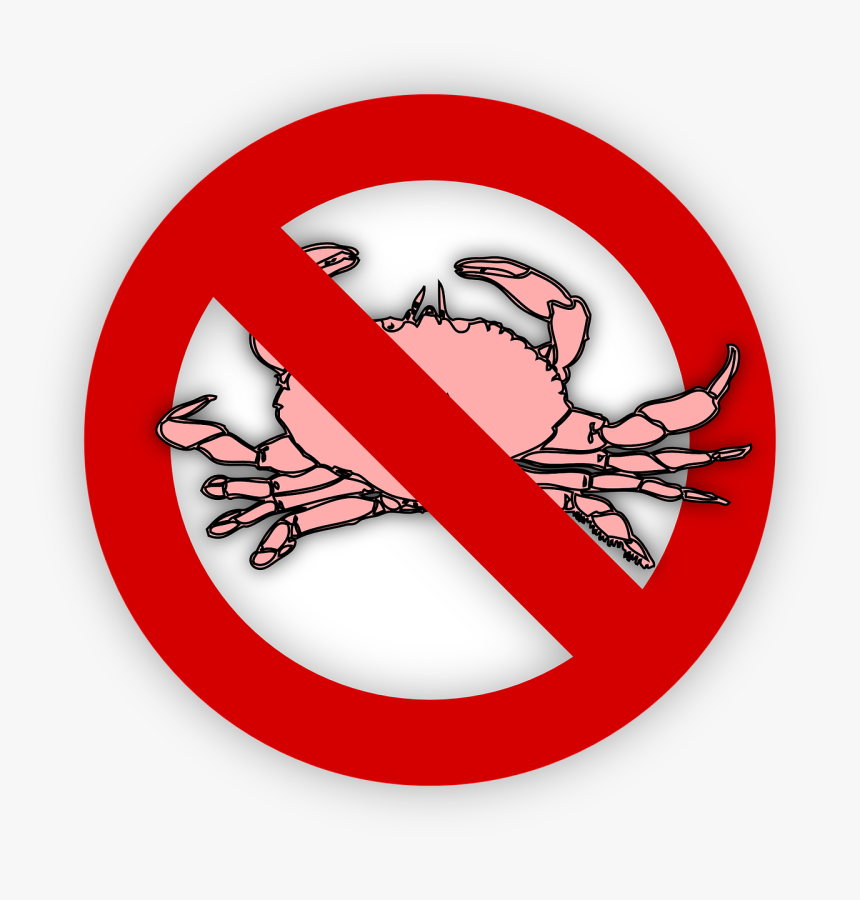 Alergia A Los Crustaceos, HD Png Download