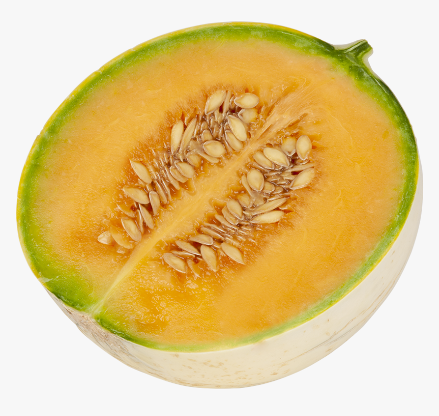Honeydew, HD Png Download