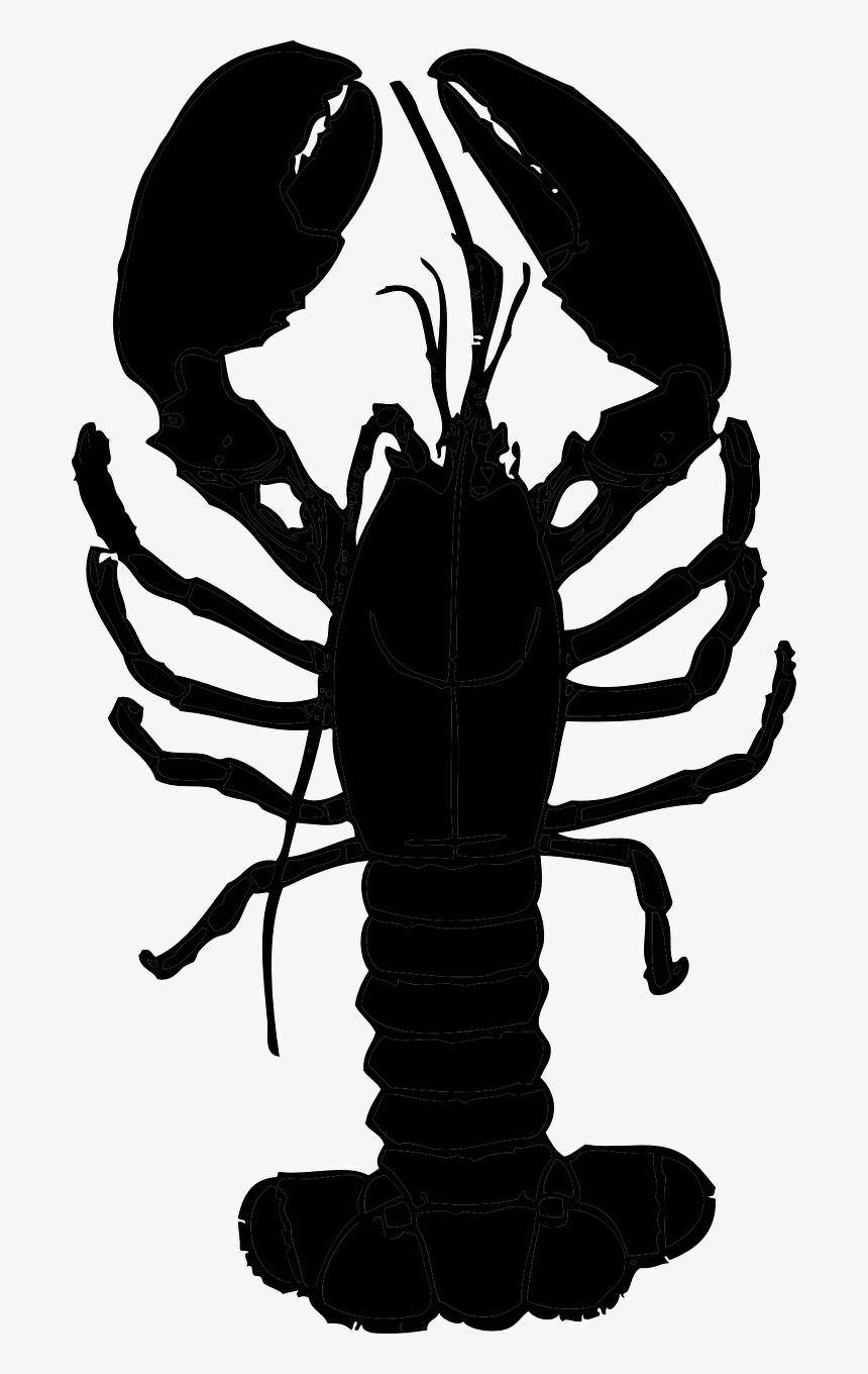 Transparent Lobster Png - Transparent Lobster Clipart, Png Download