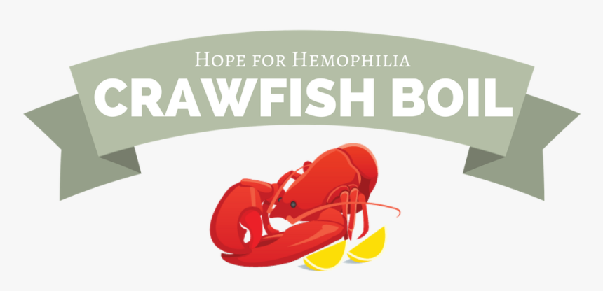 Picture - Flyer, HD Png Download