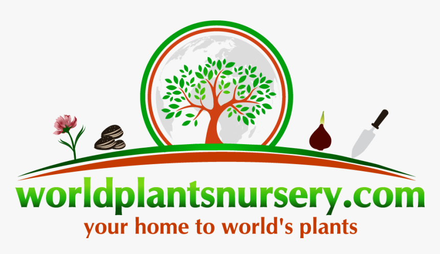 Worldplantsnursery, HD Png Download