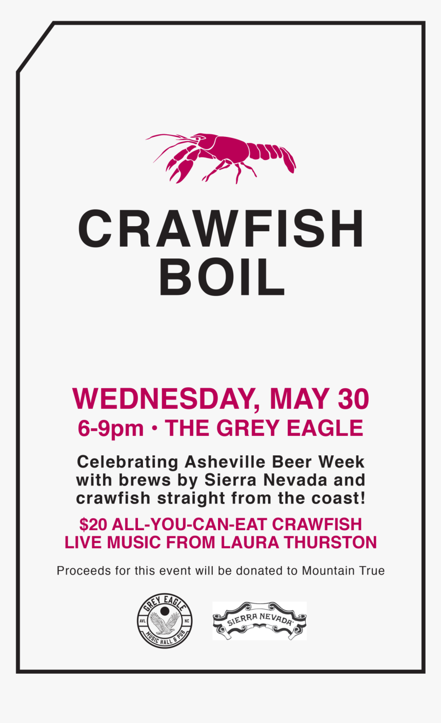 The Grey Eagle - Insect, HD Png Download