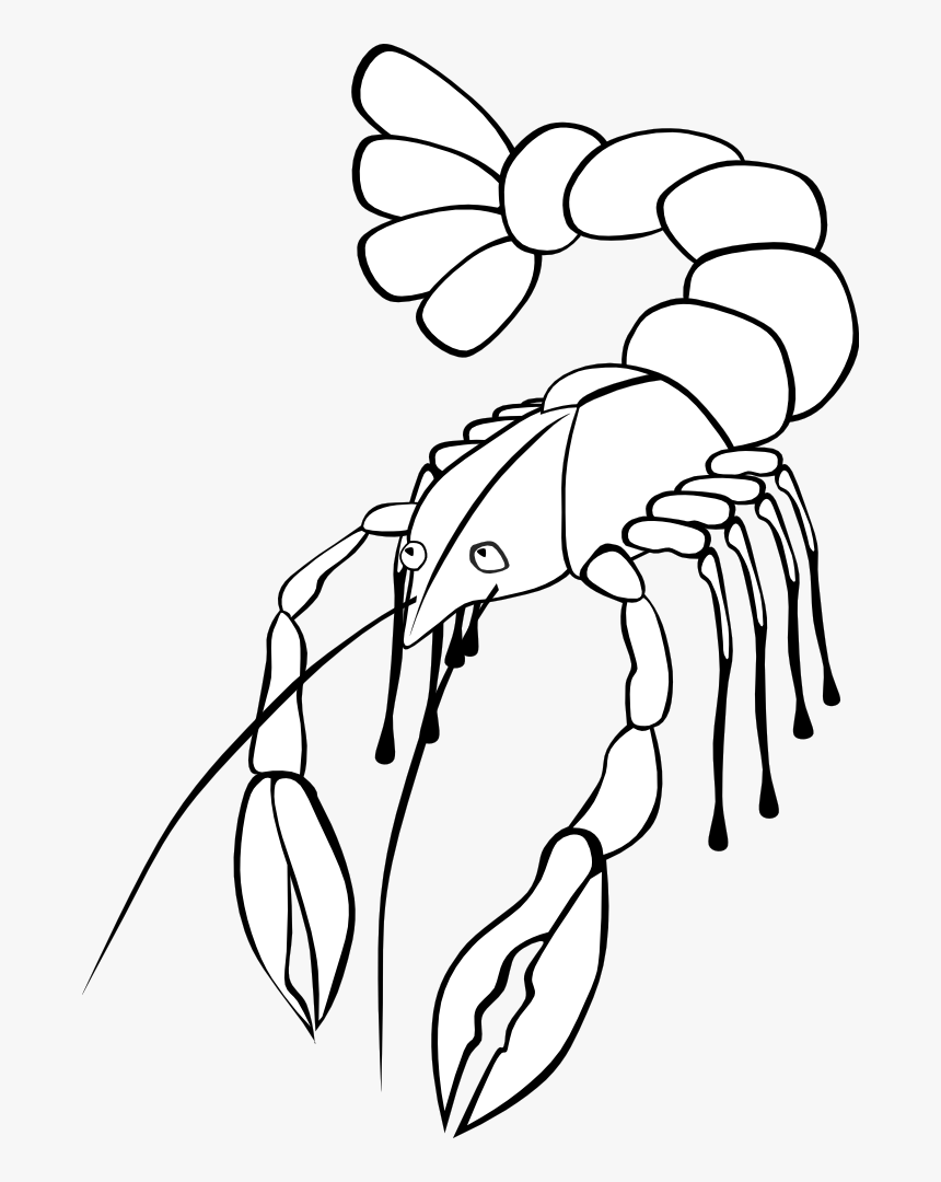 Crawfish - Crawfish Clip Art, HD Png Download