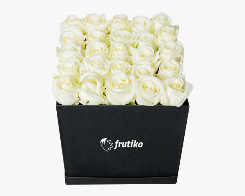 Black Box Of White Roses - Garden Roses, HD Png Download
