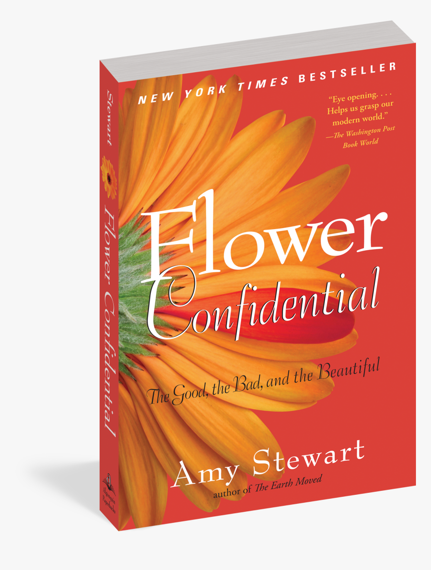 Cover - Flyer, HD Png Download