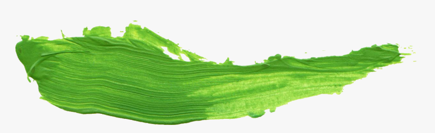 Brush Stroke Leaf Png, Transparent Png