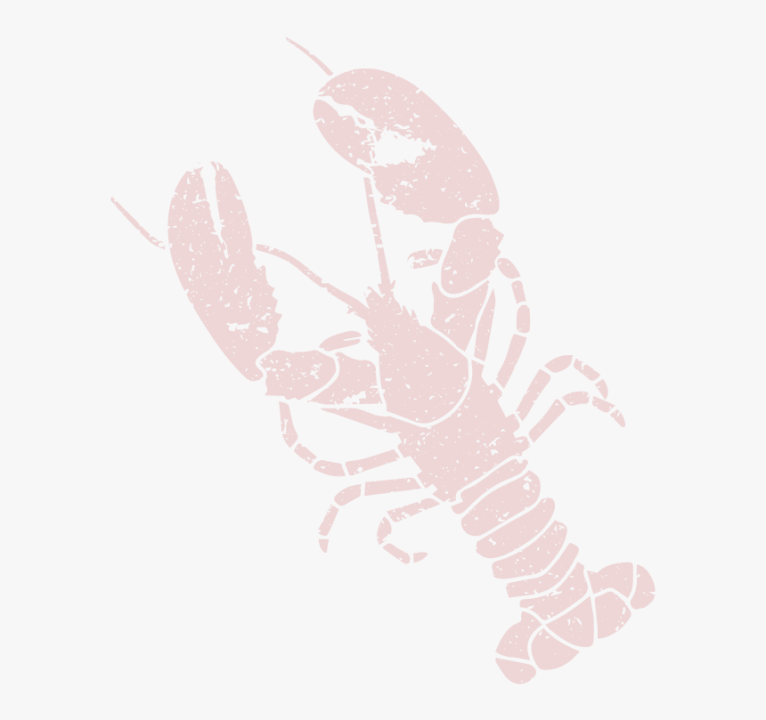 American Lobster, HD Png Download