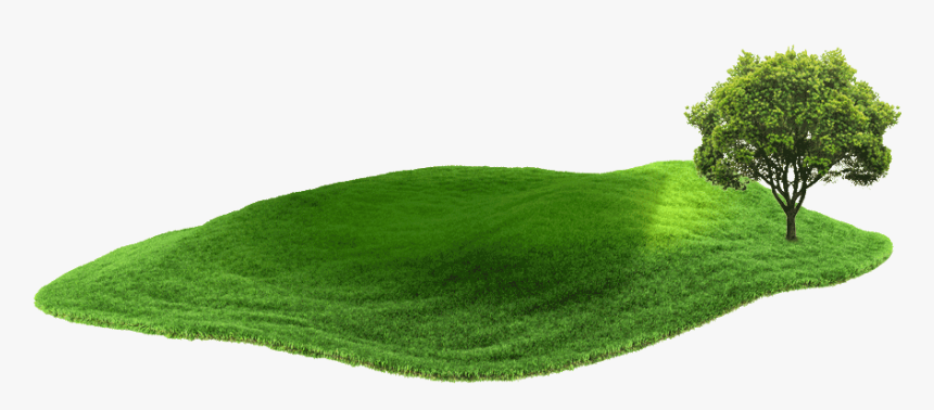 Tree, HD Png Download