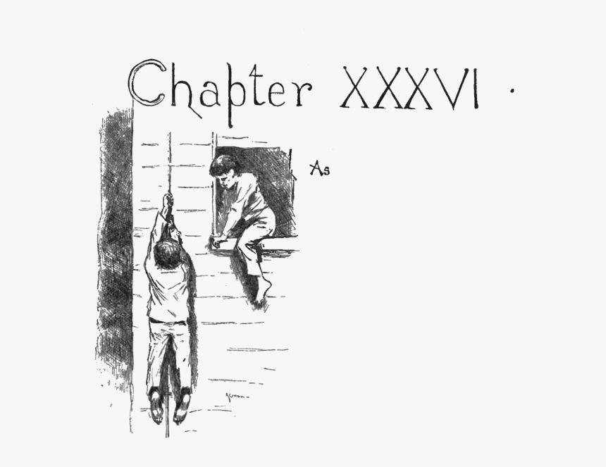 Adventures Of Huckleberry Finn 1885-p309 - Lightning Rod In Huckleberry Finn, HD Png Download