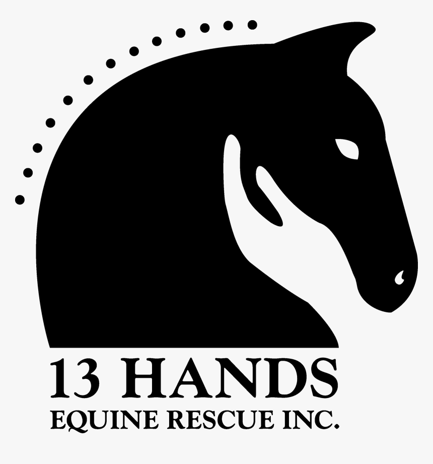 13 Hands Equine Rescue, HD Png Download