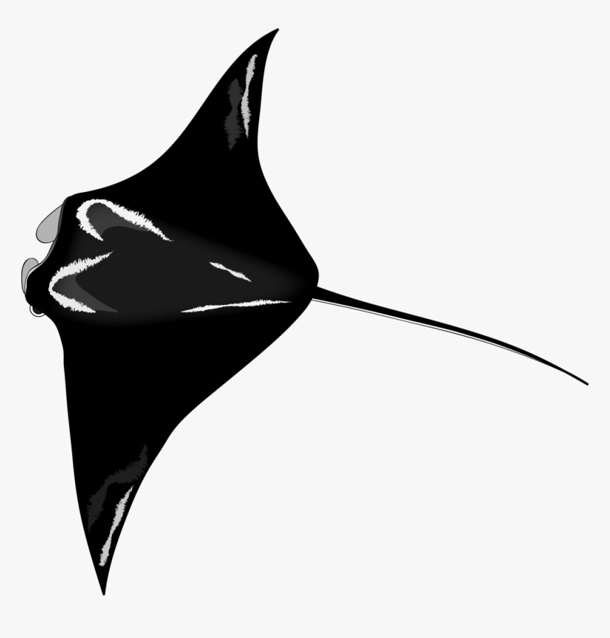 Eagleray - Sharks And Rays Icon, HD Png Download