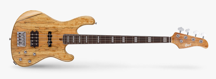 1958 Mary Kaye Stratocaster, HD Png Download