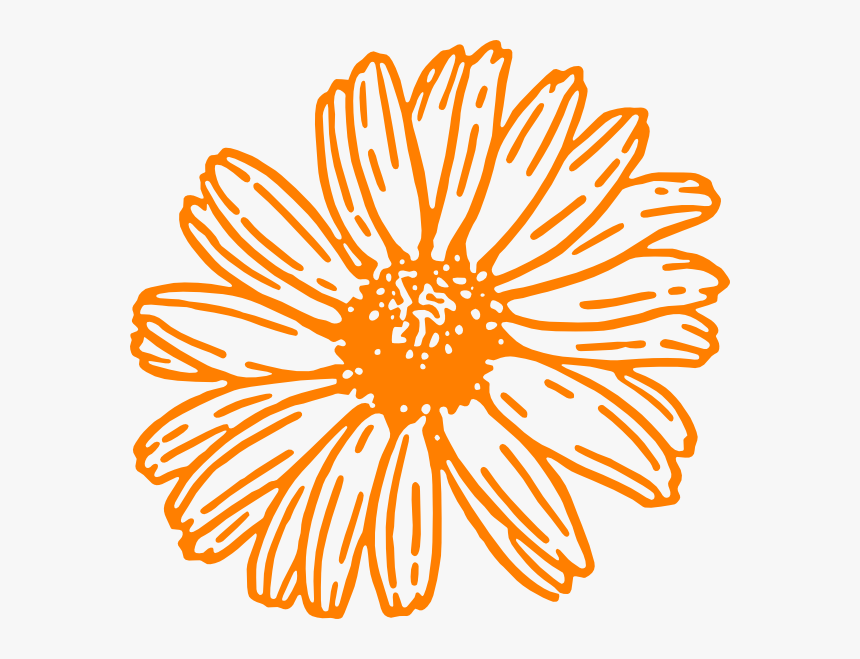 White Outline Flower Clipart, HD Png Download