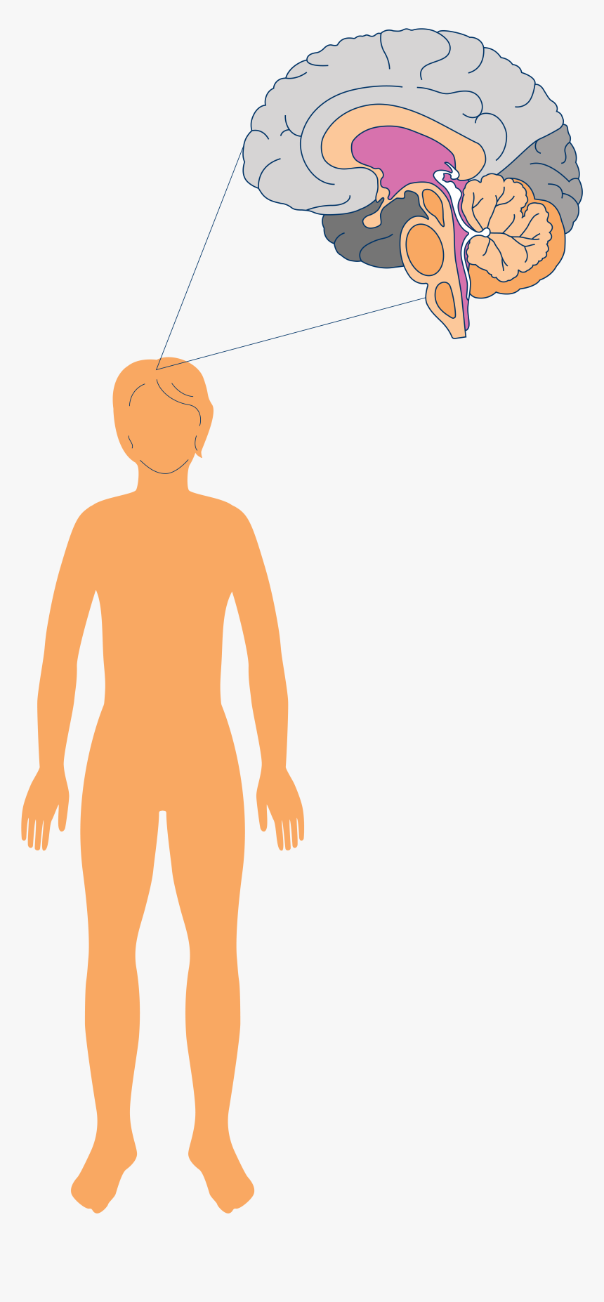 Clip Art, HD Png Download