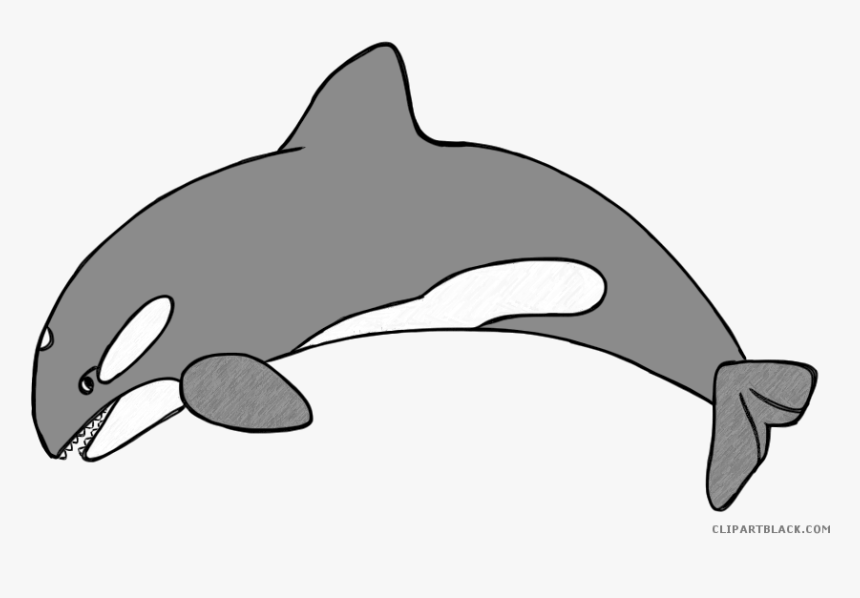 Huge Freebie Download For Powerpoint Presentations - Orca Drawing For Kids, HD Png Download