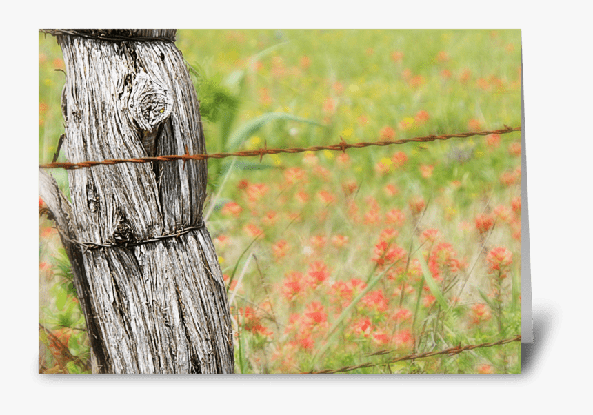 Texas Fences Greeting Card - Barbed Wire, HD Png Download
