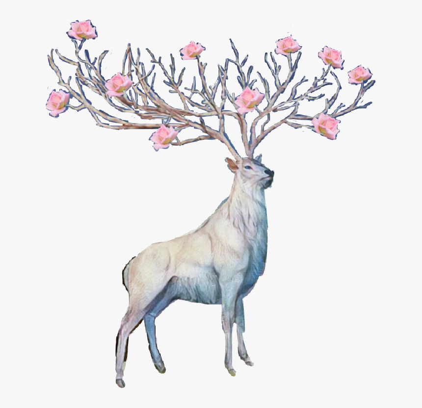 #flower #deer #antlers #sticker #freetoedit - Flower Antlers Transparent Deer, HD Png Download