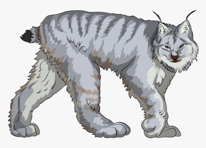 Cat Yawns, HD Png Download