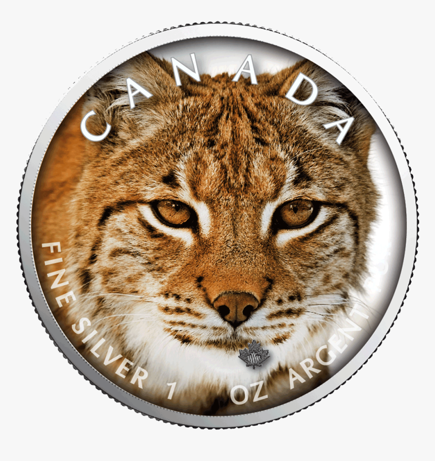 Ibca201966 1 - Lynx Winter, HD Png Download