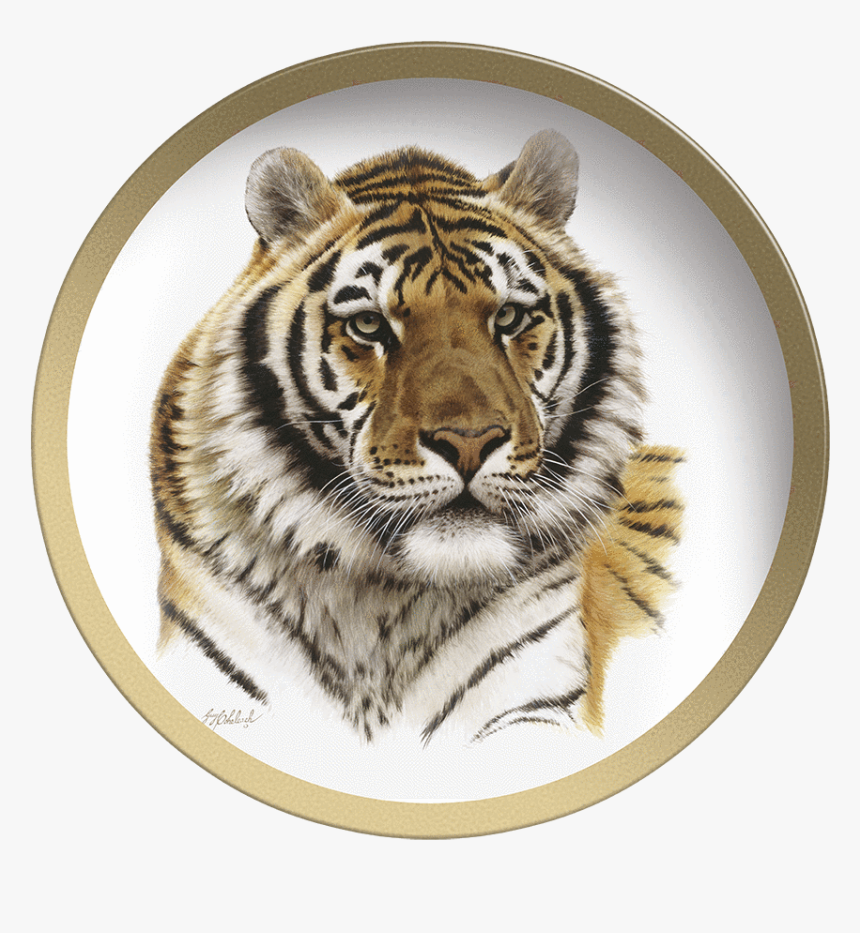 Transparent Tiger Head Png - Guy Coheleach Tiger Heads, Png Download