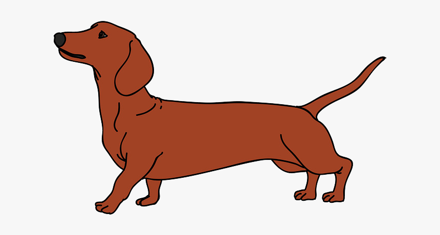 Dachshund Vector Graphics Dog Breed Puppy Illustration - Dachshund Vector Png, Transparent Png