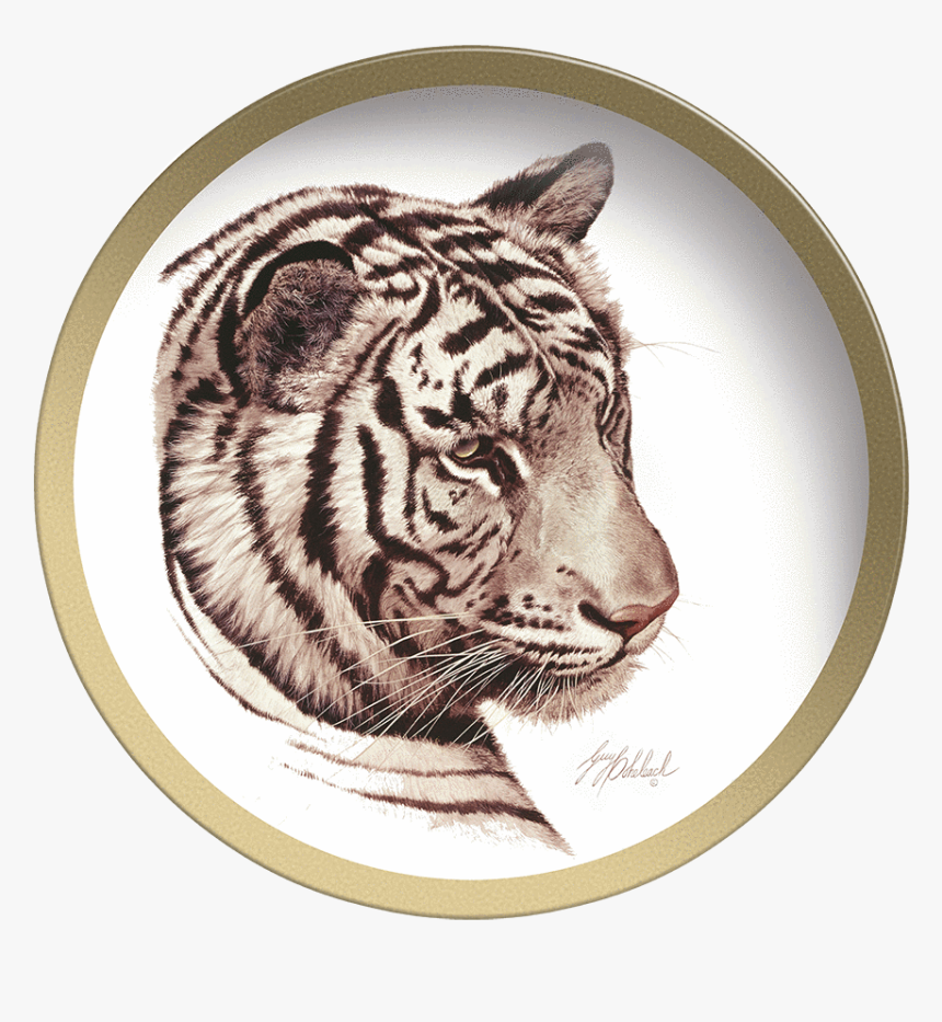White Tiger Head, HD Png Download