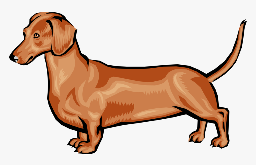 Dogs Vector Realistic - Cartoon Dachshund Png, Transparent Png