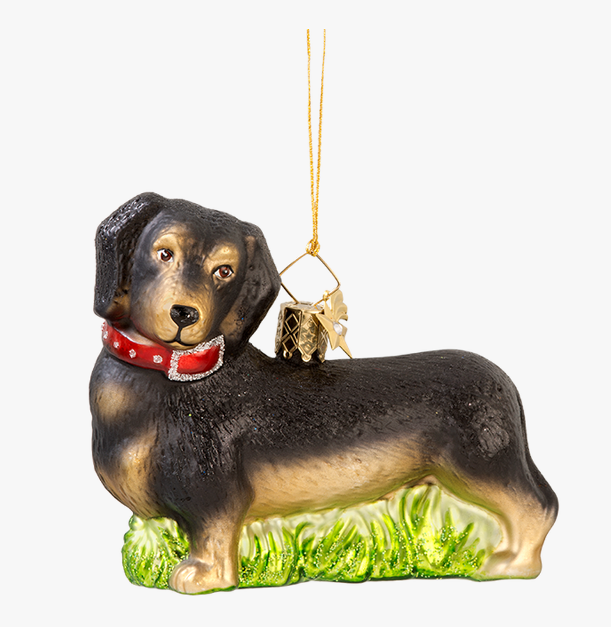Dachshund, HD Png Download