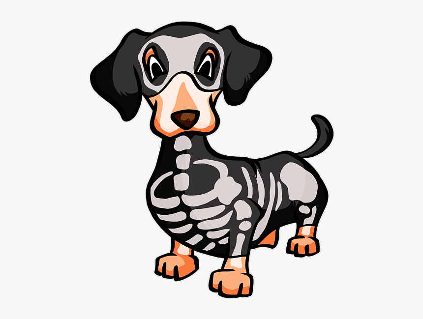 Dachshund, HD Png Download