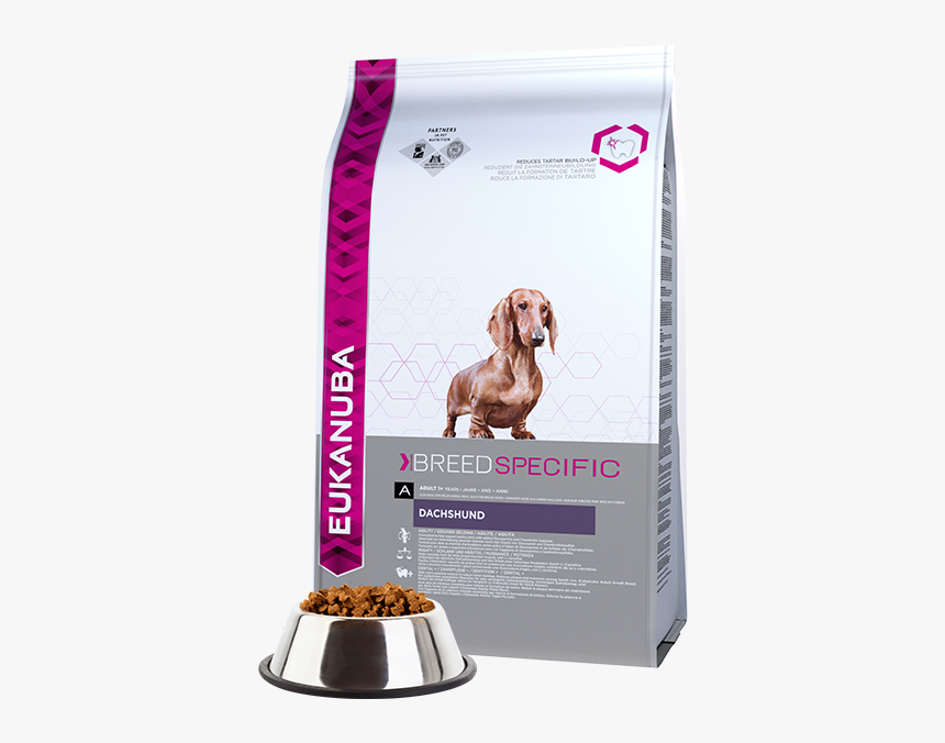 eukanuba dachshund