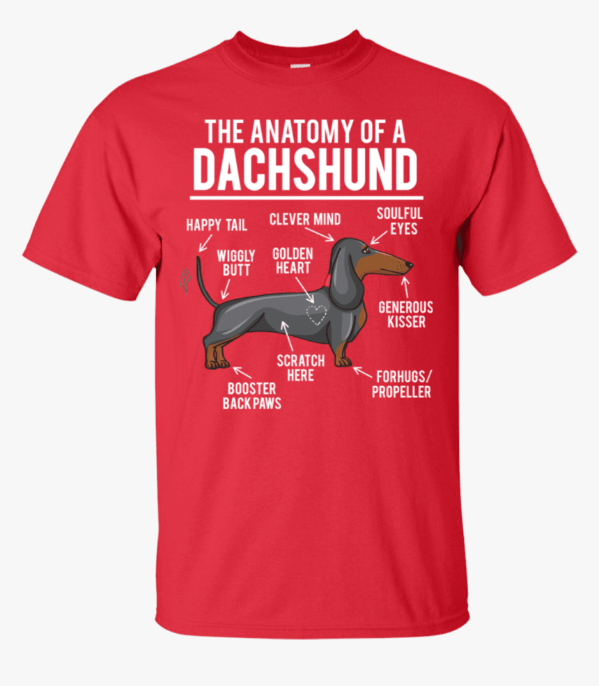 Creations Capitol ™ Anatomy Of Dachshund Clever Mind - Woodstock T Shirts 50th Anniversary, HD Png Download